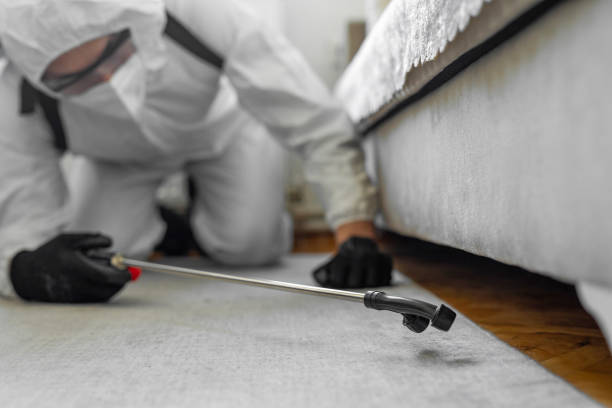 Professional Termite Control technician working in Lake Elsinore, CA